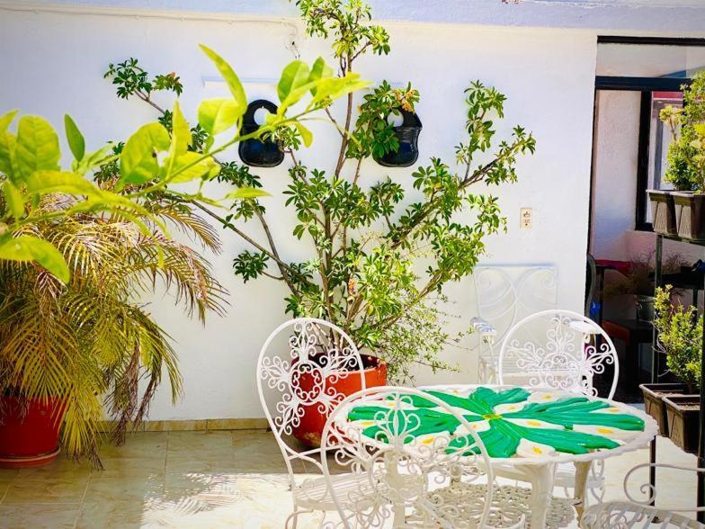 Casa Mexicana Hotel Guanajuato Zewnętrze zdjęcie